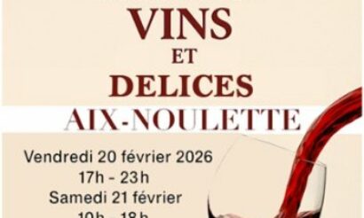 Le Lions Club AIX-NOULETTE EN ARTOIS vous invite à participer à leur1er SALON VINS ET DELICES